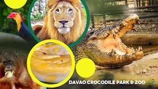 Exploring Davao Crocodile Park: Davao Highlights You Can't Miss!