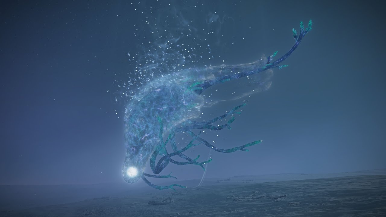 An Augur Hunt - Ironeye vs Maris, Fathom of Night