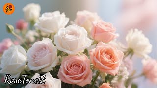 видео: Мелодия Сергея Грищука💐Я слушала среди цветов🌸И слёзы softly текли💧 картинка: Мелодия Сергея Грищука💐Я слушала среди цветов🌸И слёзы softly текли💧