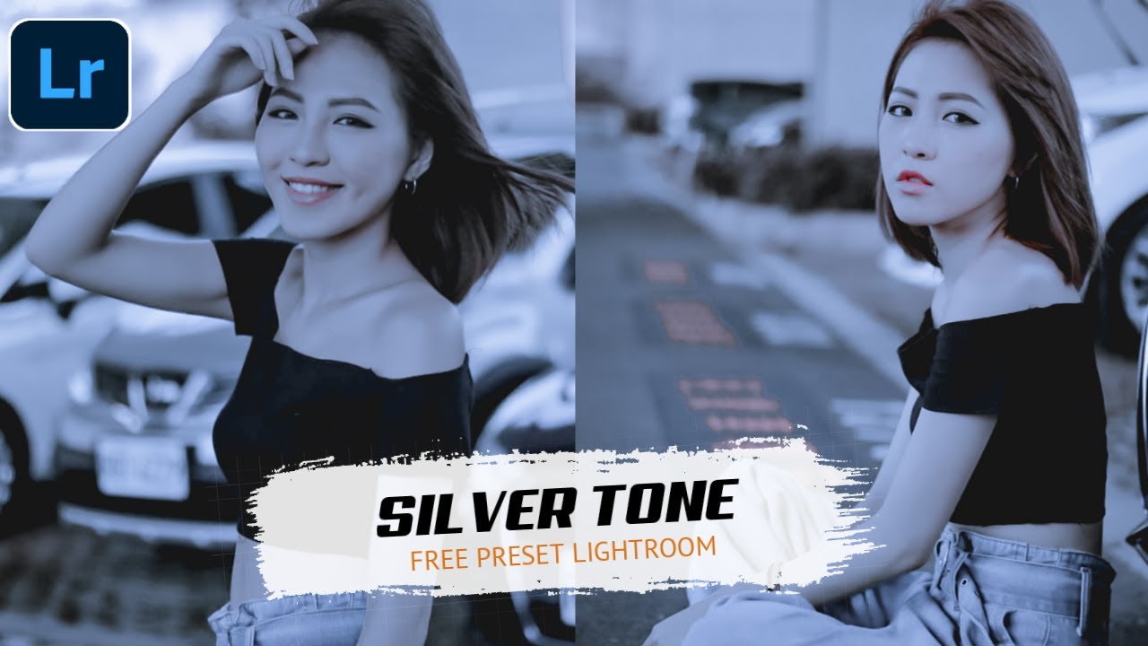 SILVER TONE Preset || Preset Lightroom - DNG