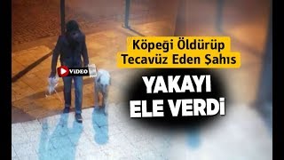 Köpeği öldürüp Tecavüz Eden şahıs Yakayı Ele Verdi - Denizli Haberleri - HABERDENİZLİ.COM Köpeği öldürüp Tecavüz Eden şahıs Yakayı Ele Verdi - Denizli Haberleri - HABERDENİZLİ.COM