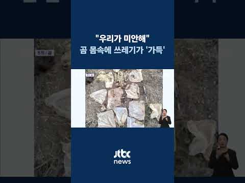 200kg 육박하는 흑곰 쓰러져…부검해 보니 몸속에 쓰레기가 &amp;#39;가득&amp;#39; #JTBC #Shorts