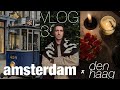 35 ВЛОГ / НОВЫЙ ВЛОГ ИЗ ИКЕИ / СДЕЛАЛ SMAS-ЛИФТИНГ / ФОТОСЕССИЯ ДЛЯ ИНСТАГРАМ / НОВЫЙ ГОД В ГААГЕ