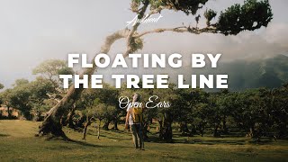 Open Ears - Floating By The Tree Line [ambient meditation relaxing]