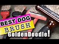 BEST Brush for your GoldenDoodle