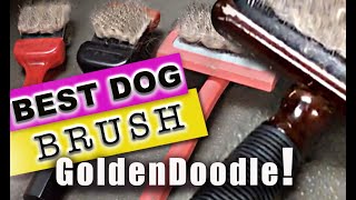 BEST Brush for your GoldenDoodle