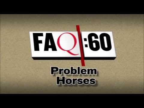 Video: So bili tekmovalni konji na »sreči« napačni? En konjski veterinar tehta