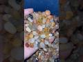 Sorted Terrarium pebbles getting washed - Cool Sounds :)
