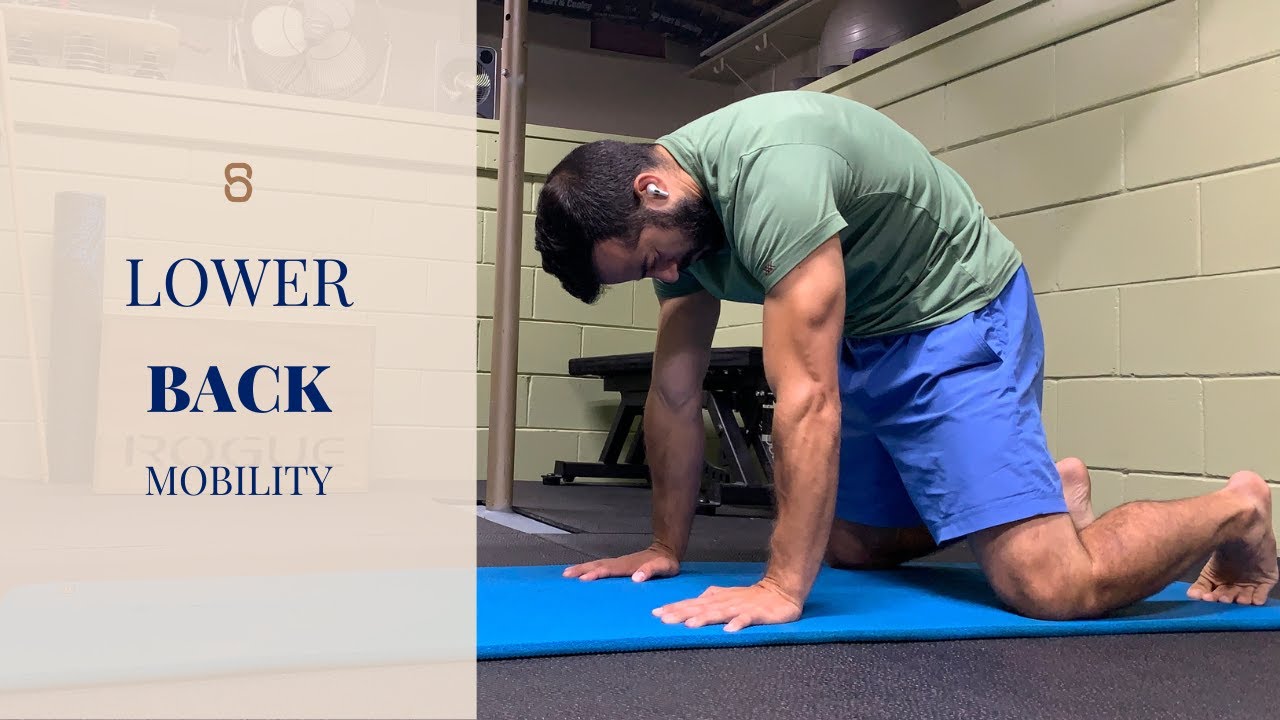 How to Improve the Mobility of Your Stiff Lower Back YouTube