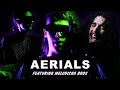 System Of A Down - Aerials in the style of Alien Metal feat. @Melodicka Bros