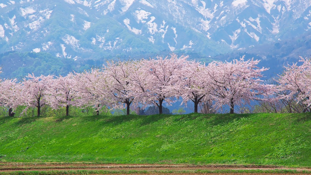 里の風景 春 風景写真家 佐藤尚 47都道府県を巡る旅 Youtube