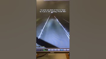 Een Amerikaanse vrachtwagenchauffeur rijdt in op een kudde schapen 😲 #shorts