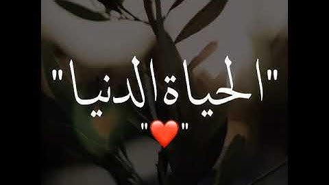 قرآن كريم بصوت خاشع ❤🌿 | حالات واتس اب دينية قصيرة بصوت اسلام صبحي 🎧💙