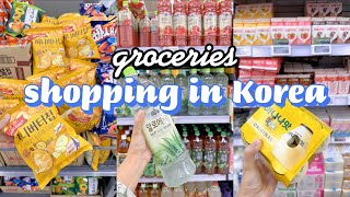 shopping in korea vlog  supermarket food with prices!  making kimbap, snacks & more