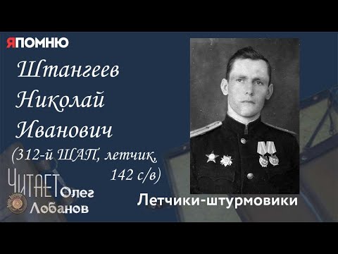 Штангеев Николай Иванович. Проект "Я помню" Артема Драбкина. Летчики-штурмовики.