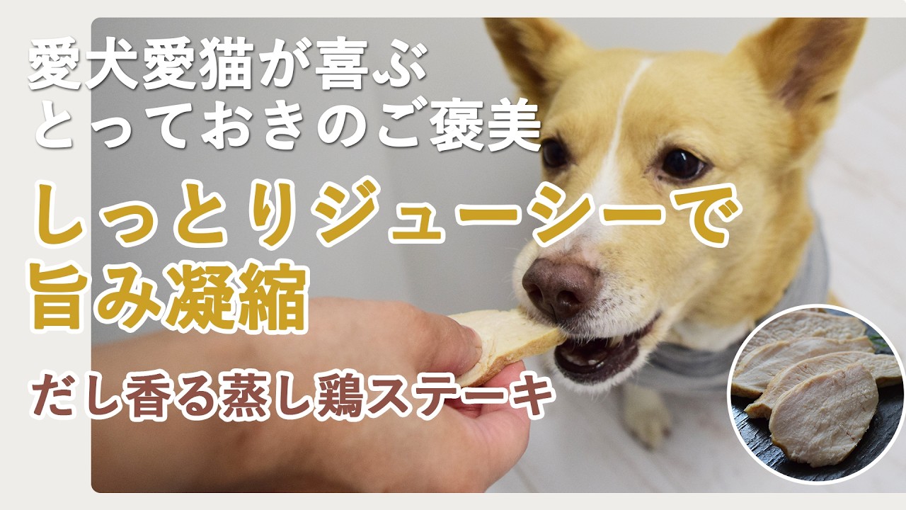 Dog Treat] Steamed Chicken Steak with Dashi Flavor [Tezukayama