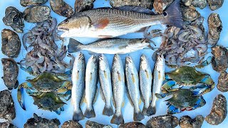 FISH, OYSTERS, SHRIMP, and CRABS Catch and Cook