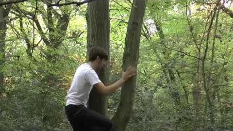 Catch me if you can (Version one After Effects)