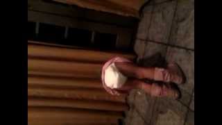 Dudinha No Funk Do Pica-Pau