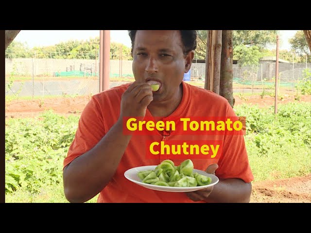 Green tomato chutney -  Hare tamatar ki chutney - tomato pachadi | Vahchef - VahRehVah