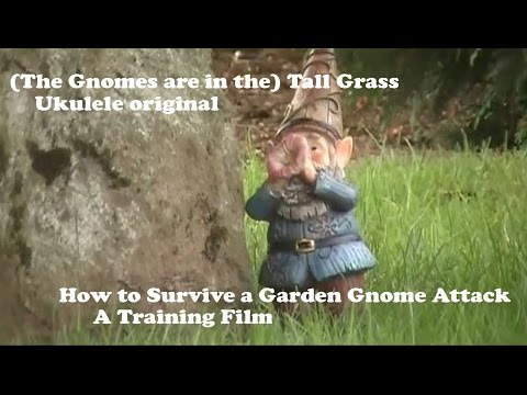 The Gnomes Are In The Tall Grass Youtube