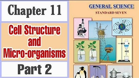 7th std science 11 Cell Structure and Microorganisms l Part 2 l explanation in Marathi