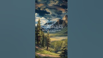30ثانية وحدة ممكن تريح قلبك🌸#قرآن_كريم #ذكر_الله #تلاوة #اسلاميات #راحة_نفسية #خشوع#اطمئنان_القلوب