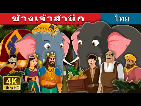 วีดีโอ: ช้างสีชมพูมาจากไหน?