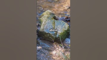 Silica Veins & Supergene Clues – Cemented Zones 101 (Module 2) #SilicaVeins #SupergeneGold