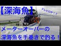 【巻き上げほぼノーカット】手巻きで水深約350mからメーターオーバーの深海魚を釣る！【長編】/【Deep sea fishing】