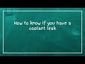 How to know if you have a coolant leak