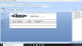 Crystal Reports 2020   Creating a Manual Running Total