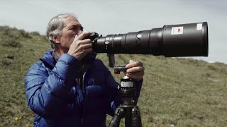 No Assignment: Yellowstone&#39;s Unofficial Photographer