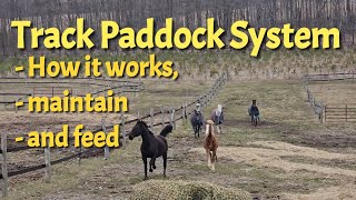 Our Track Paddock System for Horses  How it works,  hay feeders, and we maintain the clean up