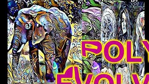 DSI Poly Evolver Sound3