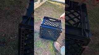 Famous Easy made nesting boxes for chickens. #farming #chicken #hens #eggs #farmer #gardening #offgrid Net Worth