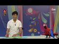 برامج تعليم الاطفال الملونة رسم وتشكيل و معامل يدوية وفن طي الورق رقم 3
