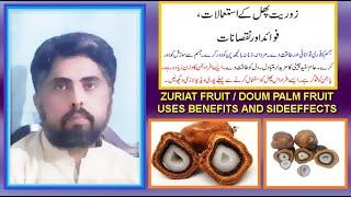 Download Lagu zuriat phal kay istimal fawaid aor nuqsan | doum palm tree fruit uses benefits and sideeffects | MP3