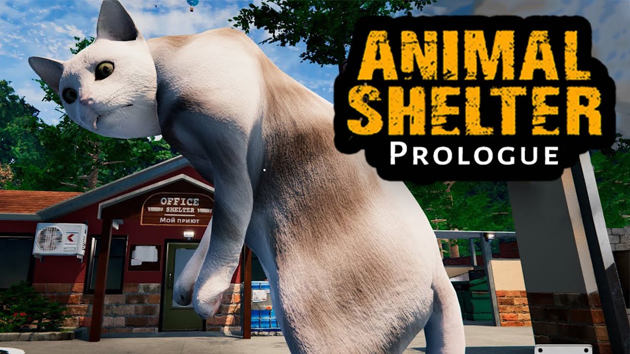 Animal shelter. Симулятор приюта. Игра приют для животных. Animal shelter prologue. Игры для девочек приют для животных animal shelter.