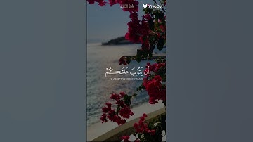 والله يريد أن يتوب عليكم 🌿 القارئ ياسر الدوسري 🌿