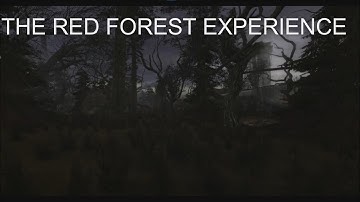 S.T.A.L.K.E.R Red Forest Experience