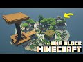 Minecraft OneBlock Survival Timelapse