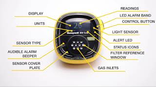 BW Solo Gas Detector - User Interface and Display Review