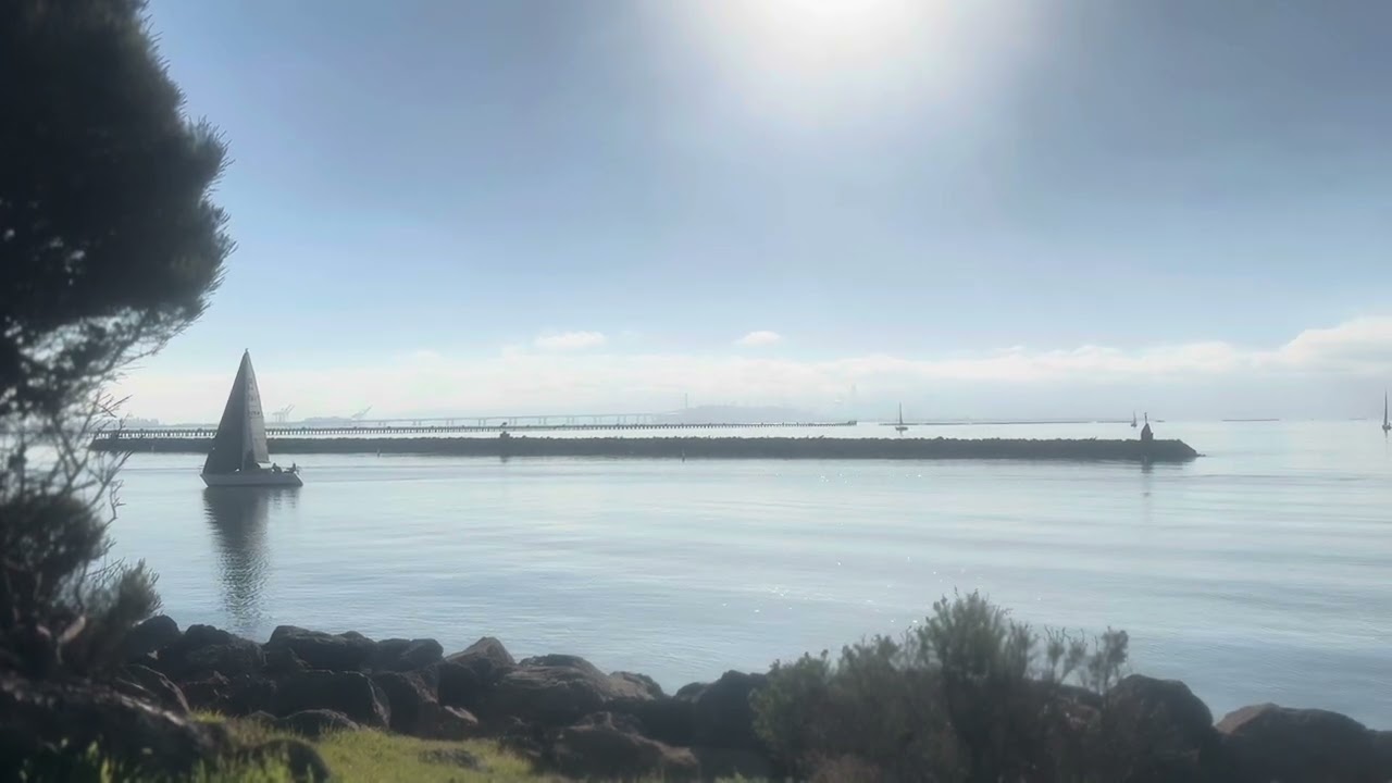 Relax. Bay Area, Berkeley, Cesar Chavez Park, California. January 2025