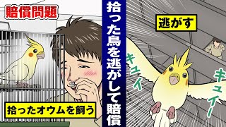 【ペット漫画】拾ったオウムを逃がしたら法律上どうなるのか？
