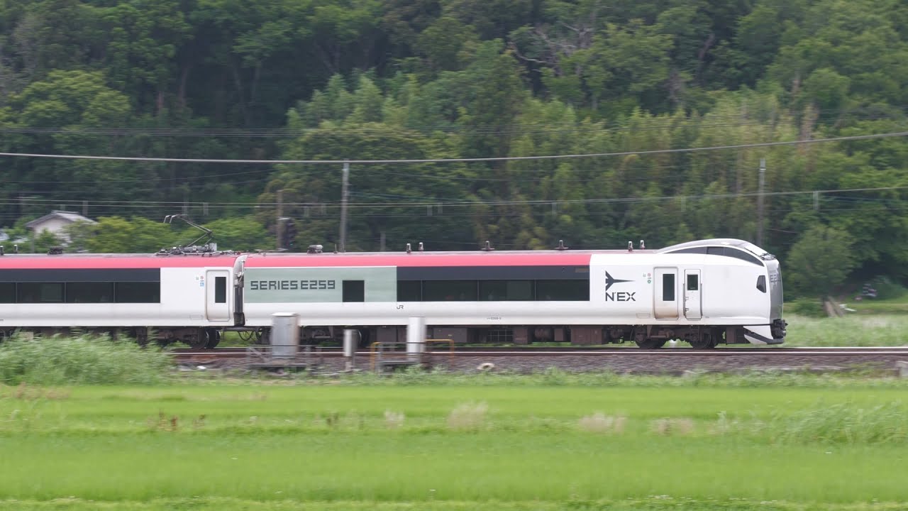成田エクスプレスE259系新塗装と現行塗装の混色編成 モノサクを通過