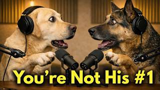 Dogs Only Choose One Person As Their Favorite Heres Who They Actually Pick