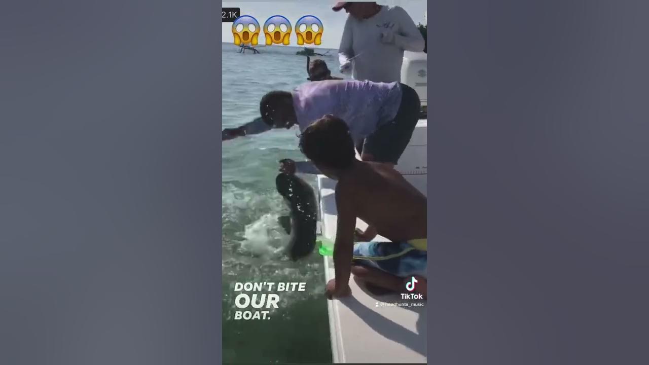 Man Loses His Pinky Trying To Catch A Shark 😱😱😱🦈 Reels Fyp Viral