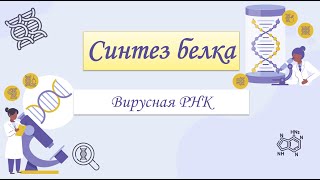 картинка: ЕГЭ Биология. Синтез белка. Решение задач. Вирусная РНК