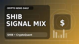 Unexpected Signals Shiba Shows Support Pressure as Unexpected Signals Shiba Exchange Withdrawals B